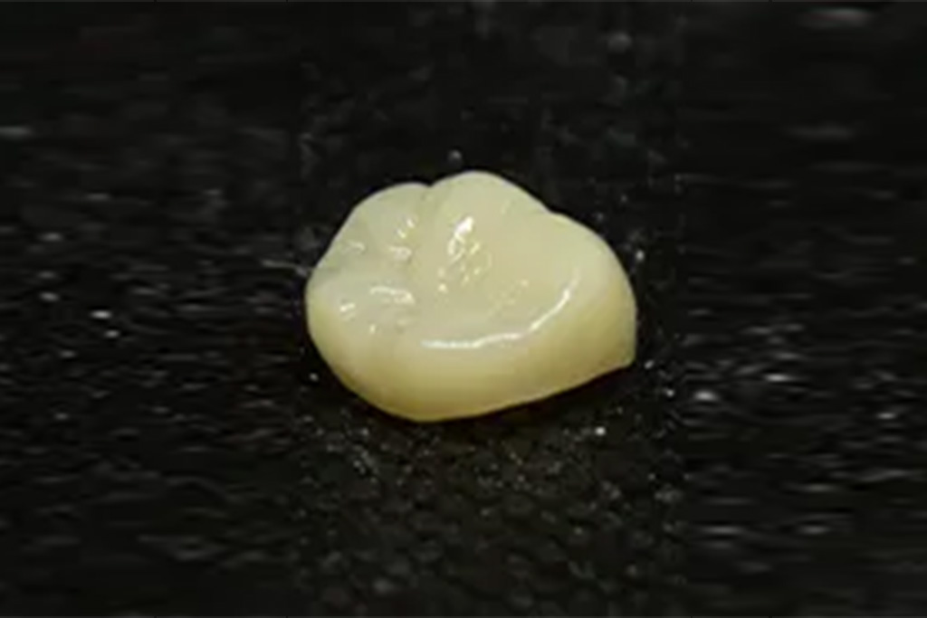 ハイブリッドクラウン