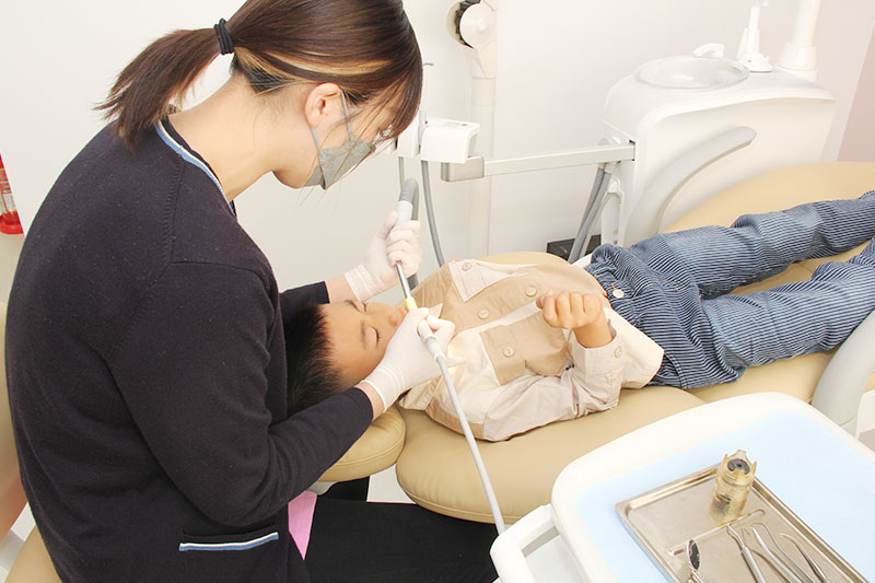 トレーニングのご提案