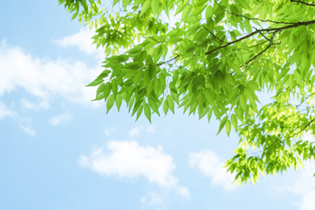 あらゆる方にリラックスして受けていただける歯科治療をめざして